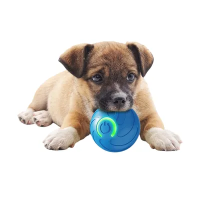 Zoomtopia Balle interactive pour chien