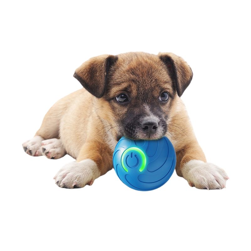 Zoomtopia Balle interactive pour chien