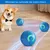 Zoomtopia Balle interactive pour chien