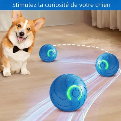 Zoomtopia Balle interactive pour chien