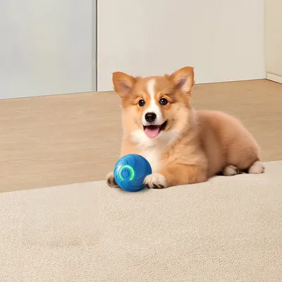 Zoomtopia Balle interactive pour chien