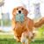 Pawzy Ballon foot interactif pour chien - durable et résistant