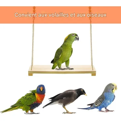 ZooVenture Lot de deux jouets - balançoires pour poules