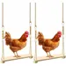 ZooVenture Lot de deux jouets - balançoires pour poules