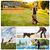 Pawzy Pelota chirriante para perros - resistente y limpia dientes