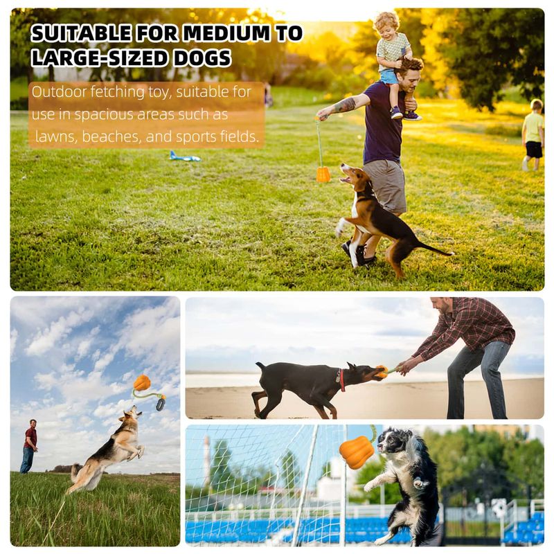 Pawzy Pelota chirriante para perros - resistente y limpia dientes