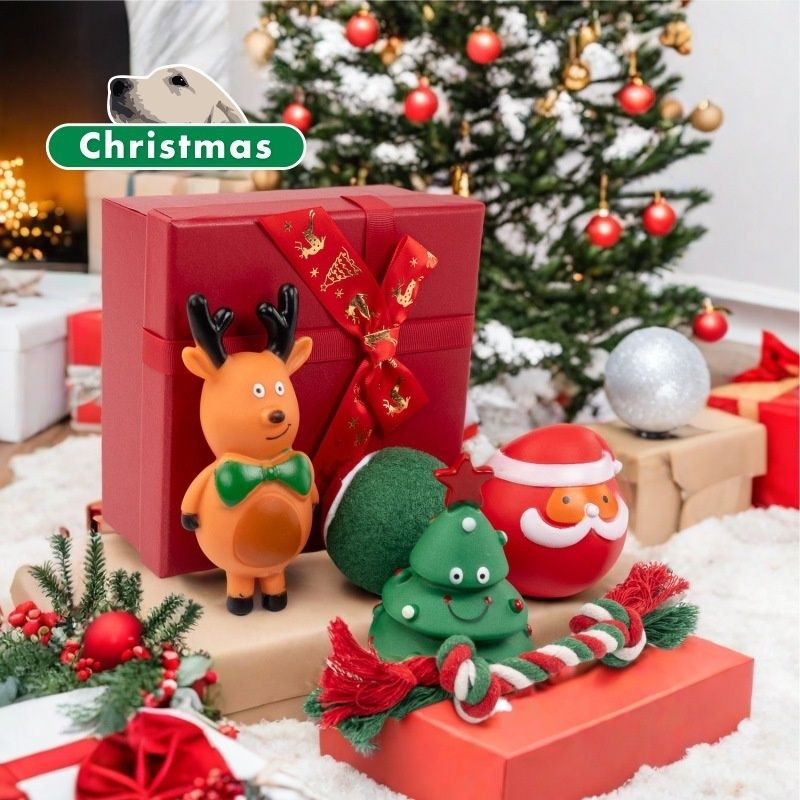 Pawzy Coffret de jouets de Noël pour chiens