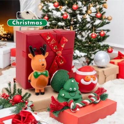 Pawzy Coffret de jouets de Noël pour chiens