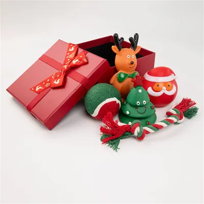 Pawzy Coffret de jouets de Noël pour chiens