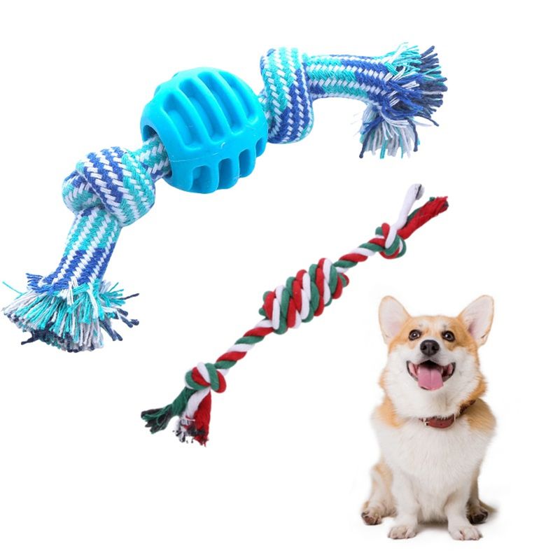 Pawzy Boîte surprise de Noël pour chiens