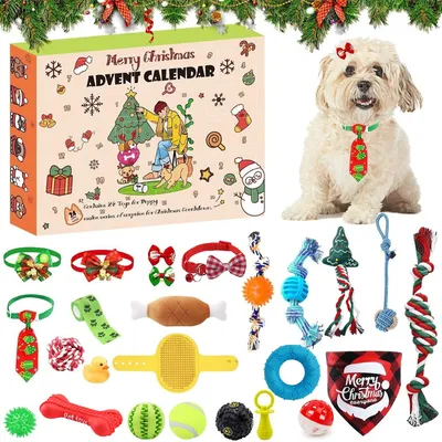 Pawzy Boîte surprise de Noël pour chiens
