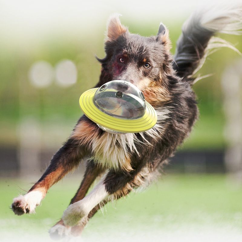 Zoomtopia Balle distributrice de friandises pour animaux