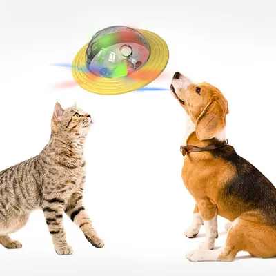 Zoomtopia Balle distributrice de friandises pour animaux