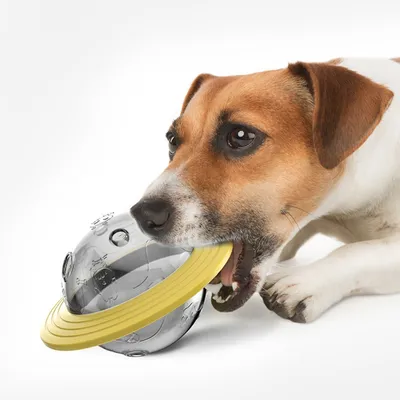 Zoomtopia Balle distributrice de friandises pour animaux