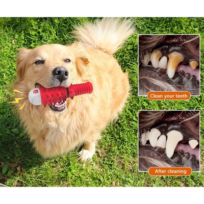 Pawzy Jouet à mâcher dentaire pour chien - Os nettoyant