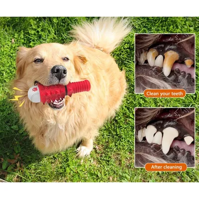 Pawzy Jouet à mâcher dentaire pour chien - Os nettoyant