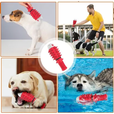 Pawzy Jouet à mâcher dentaire pour chien - Os nettoyant