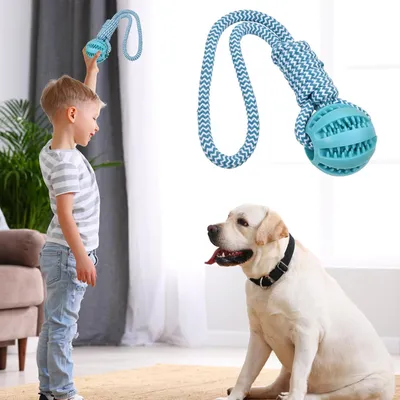 UAMLY Jouet Chien Corde, Balle en Caoutchouc avec Corde