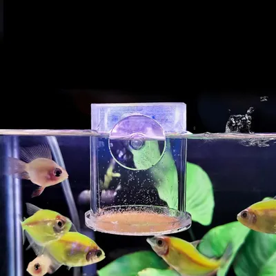 ZooVenture Tube d'alimentation pour aquarium pour poissons