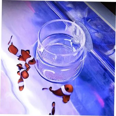 ZooVenture Tube d'alimentation pour aquarium pour poissons