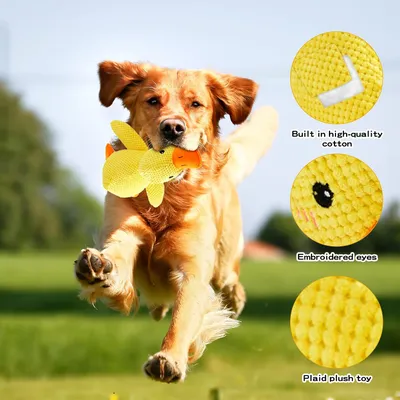 UAMLY Jouets Anti-Stress pour Chien