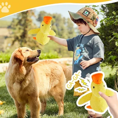 Zoomtopia Jouet Canard pour Chien