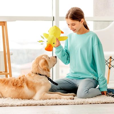 Zoomtopia Jouet Canard pour Chien
