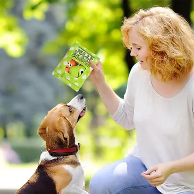 Pawzy Jouet en peluche pour chien - Sac de collation