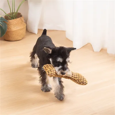 Pawzy Jouets en peluche en forme d'os pour chats et chiens