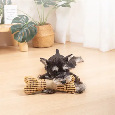 Pawzy Jouets en peluche en forme d'os pour chats et chiens