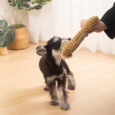 Pawzy Jouets en peluche en forme d'os pour chats et chiens