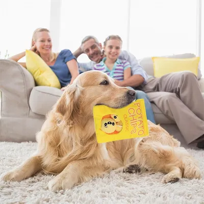 Pawzy Jouet en peluche pour chien - Sac de collation Pawzy Jouet en peluche pour chien - Sac de collation