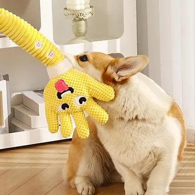 Pawzy Jouet couineur pour chien - Résistant et anti-ennui