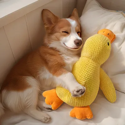 Zoomtopia Jouet Canard pour Chien