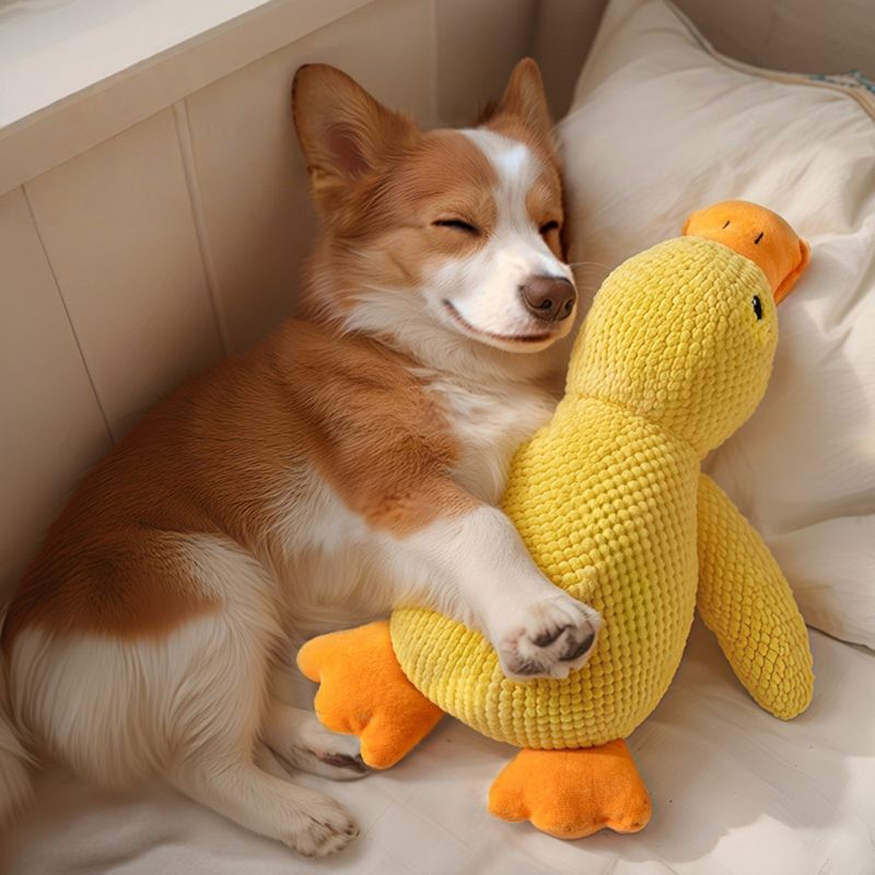 Zoomtopia Jouet Canard pour Chien