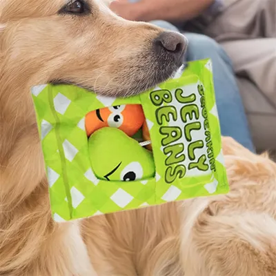 Pawzy Jouet en peluche pour chien - Sac de collation Pawzy Jouet en peluche pour chien - Sac de collation
