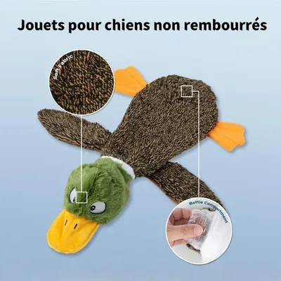 Pawzy Jouets en peluche pour chien