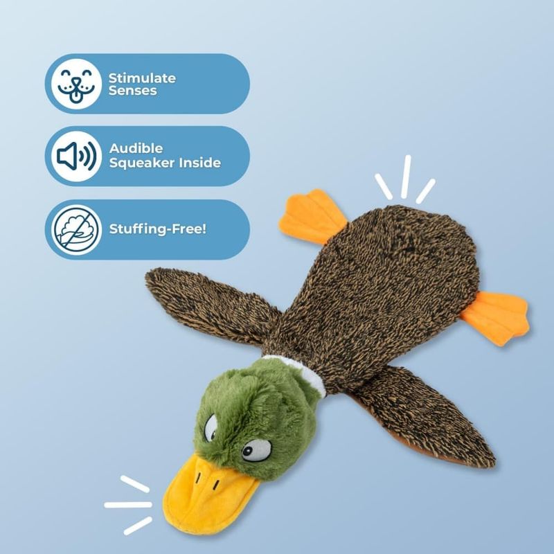 Pawzy Jouets en peluche pour chien
