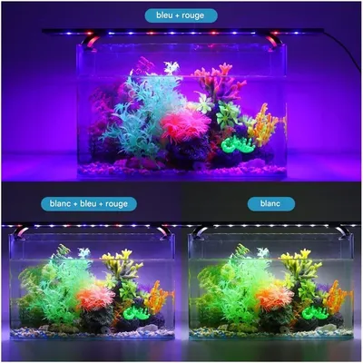 ZooVenture Lumière pour aquarium pour poissons