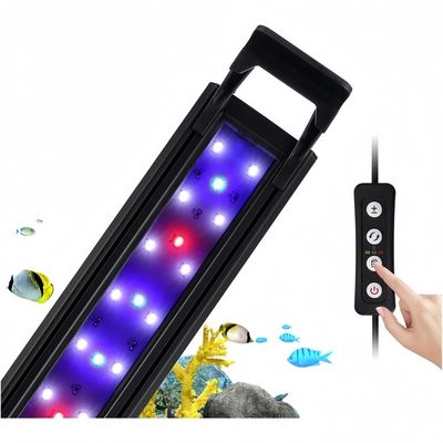 ZooVenture Lumière pour aquarium pour poissons