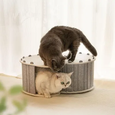 ZooVenture Túnel de juegos para cama de gato
