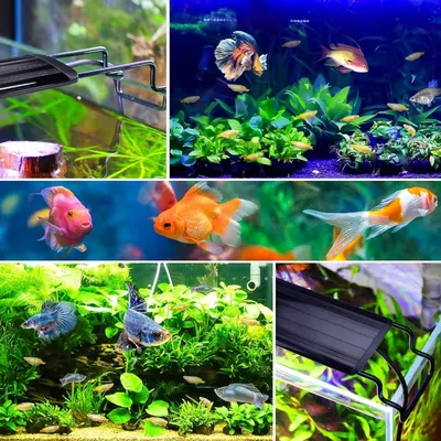 ZooVenture Lampe d'éclairage pour aquarium pour poissons