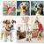 UAMLY Corde Chien, Rope Training Toys Jouet pour Chien