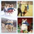 UAMLY Mâcher Corde Jouets pour Jeux Chiens