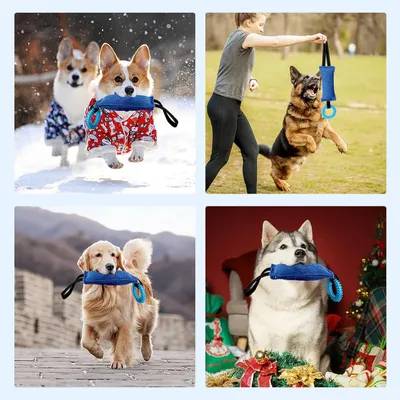 UAMLY Mâcher Corde Jouets pour Jeux Chiens