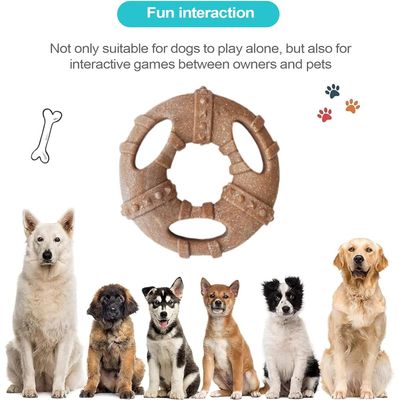 Pawzy Jouet dentaire chiot - Os indestructible, anti-plaque