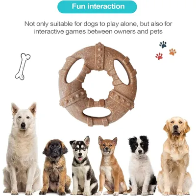 Pawzy Jouet dentaire chiot - Os indestructible, anti-plaque