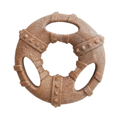 Pawzy Jouet dentaire chiot - Os indestructible, anti-plaque