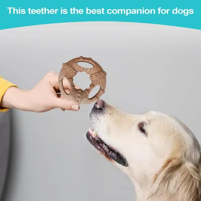 Pawzy Jouet dentaire chiot - Os indestructible, anti-plaque