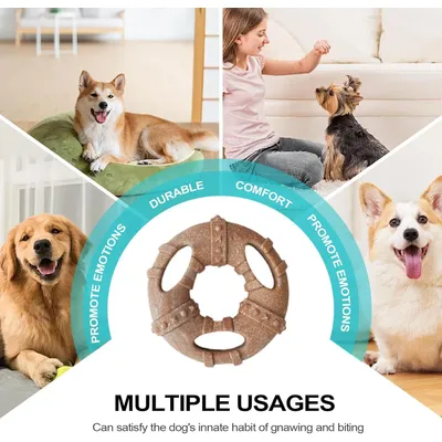 Pawzy Jouet dentaire chiot - Os indestructible, anti-plaque